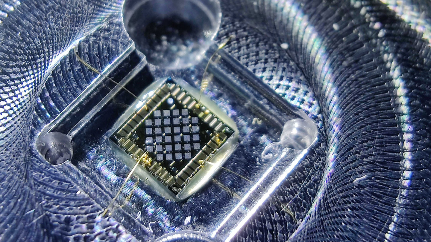 The neutrino’s quantum fuzziness is beginning to come into focus