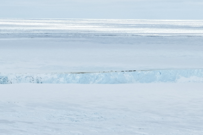 072926_mh_penguins_inline An ice shelf with small black specks — emperor penguins — huddling along the edge is shown from far across an ice field