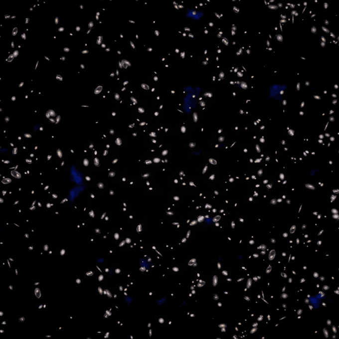 091224_ec_neutrino_inline-3 An animation shows rings of galaxies expanding outward.