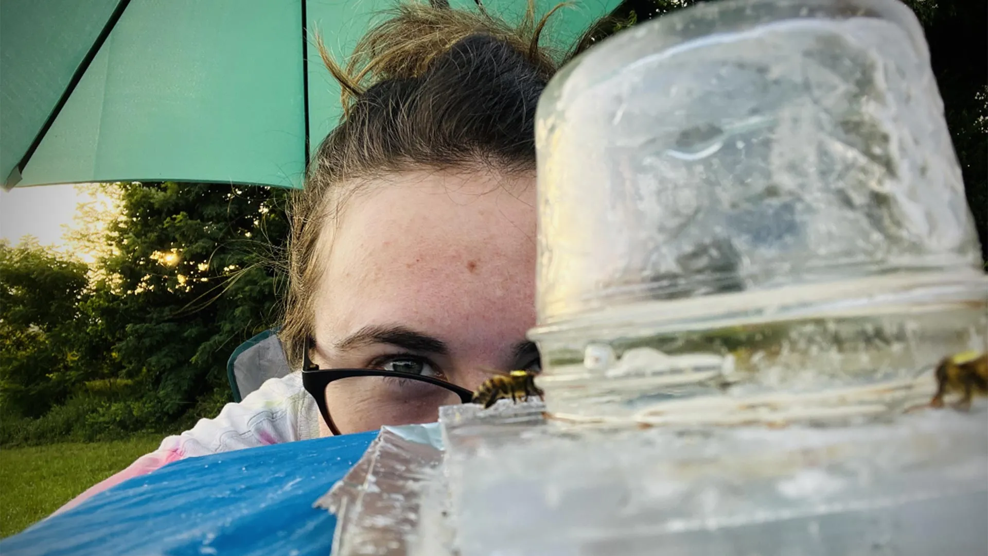 laura-mchenry-observes-bees-1 Weedkiller Disrupts Honeybee Brains